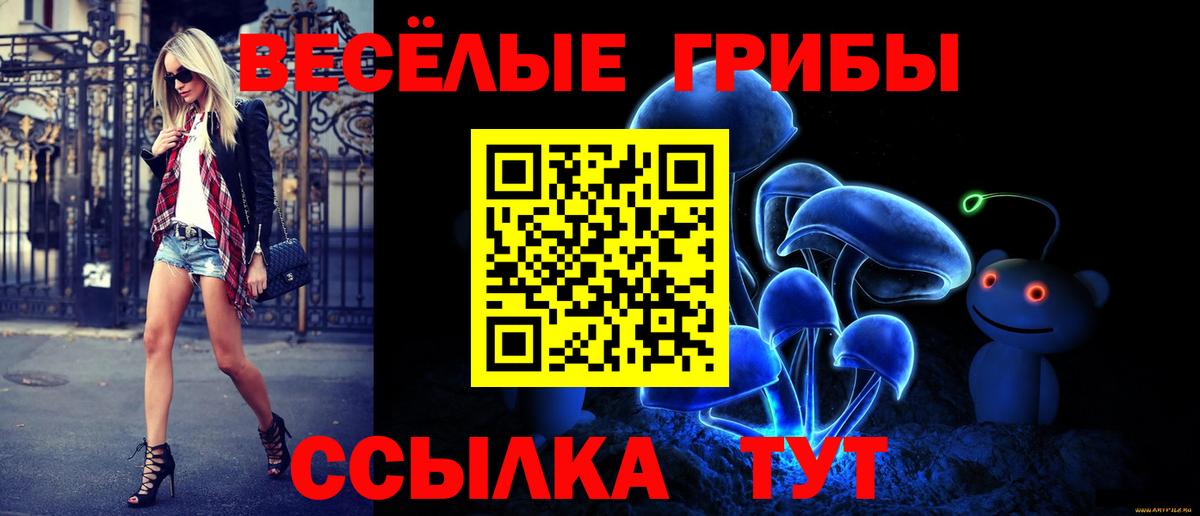 Вышний Волочёк  Галлюциногенные грибы Psilocybine cubensis  Вход с VPN 