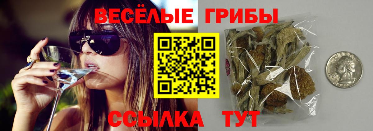 Псилоцибиновые грибы Magic Shrooms Вышний Волочёк